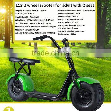 Leadway 18*9.5 Inch Citycoco Harley 2 Seat Cheap Mobility Scooter(L16-04a) photo-6