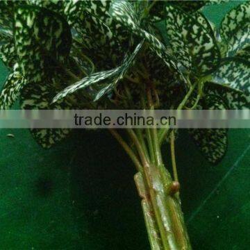 Home and Outdoor Garden Edging Christmas Decoration 60cm or 24inches Height Artificial Small Grass for Green Wall E04 1033 photo-5