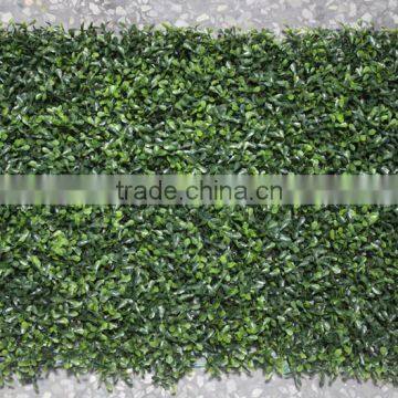 2017newest Design Artificial Mat Interior Decor Color Plastic Boxwood photo-3