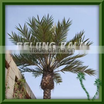 large palm leaf for telecom monopoles camouflaged