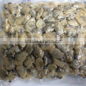 America Standard Short Necked Clam Meat photo-4