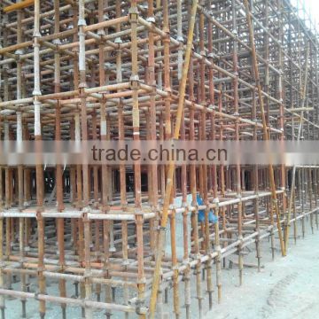 High Quality Steel Tubular Scaffolding Cuplock Scaffolding