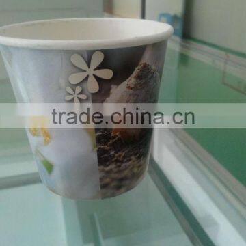 Take Away Plant Paper Cups Pot