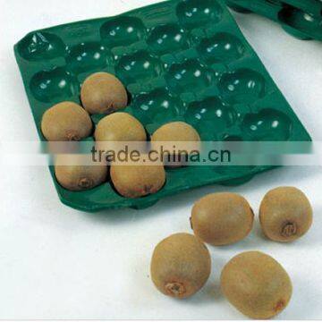Plastic Colorful Food Tray with SGS Certificate