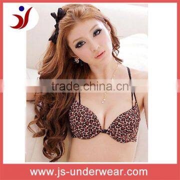 Ladies leopard nylon sexy super bra, woman underwear new design stylish sexy bra, Sexi girl lingerie front open hot sexy bra