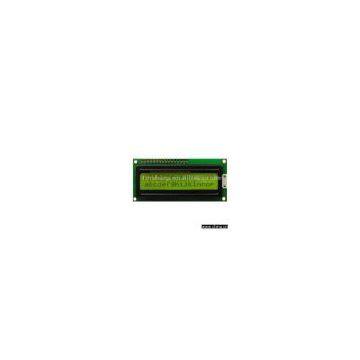 Character LCD Module