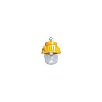 Industry Ex-Proof Platform Light For Workshop Lighting , HID 70W / 100W / 150W IP65