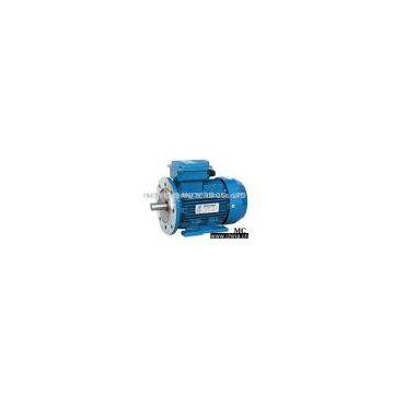 Single Phase Electric Motor