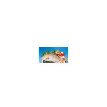 Red Snapper