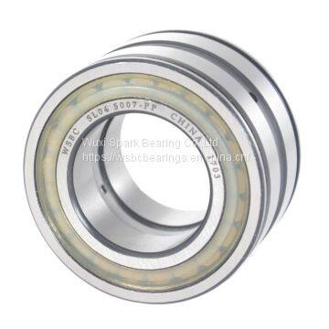 WSBC Sealed Double Row Full Complement Cylindrical Roller Bearings SL04 5017 PP