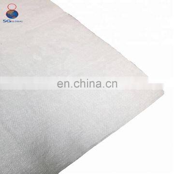 China Manufacture Durable 50kg Woven pp Maize Bags photo-2