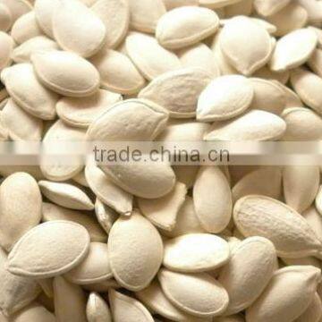 Snow White Pumpkin Seeds