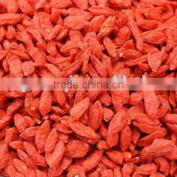 Chinese organic dry wolfberry