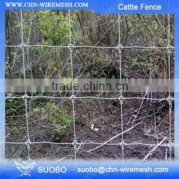 Electric Wire Mesh Grassland Fence Mesh Pasture Fencing Wire Mesh