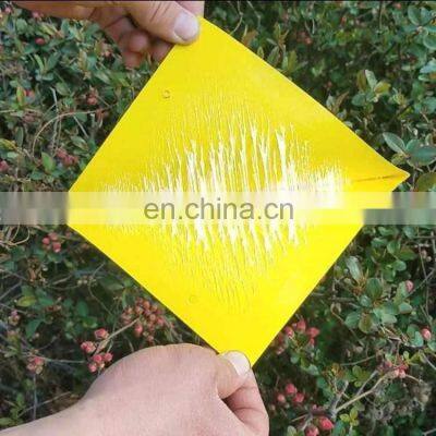 Outdoor Disposable Portable Fruit Flies Sticky Trap Butterfly Insect Control Hang Fruit Fly Glue Traps Board