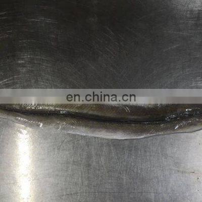 Eel Fillet Frozen Conger Eel Fish Fillet photo-5