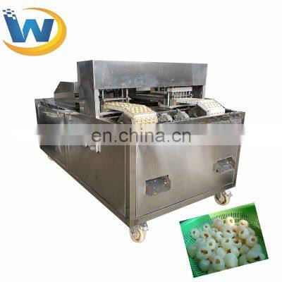 Factory Lychee nuclear pitting seed stonce core removal extractor machine on sale