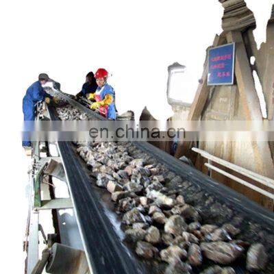 650mm/800mm Width Belt Conveyor photo-3