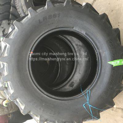 Xuzhou Jiazi 19.5L-24 16.9-28 12.5/80-18 vacuum tire