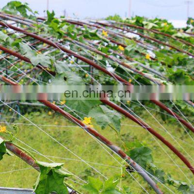 trellis for climbing plants support net dark green PP cucumber trellis netting garden gardening mesh netting