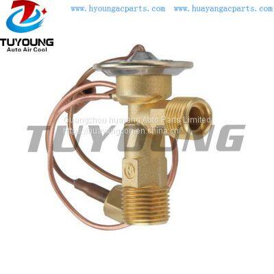 TUYOUNG HY-PZF116 auto AC expansion valve New Holland Fiat 9966200 80449624 A2G0401 89513793