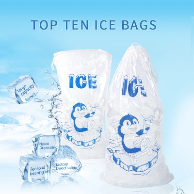 Transparent Poly LDPE Durable Food Grade Plastic Ice bags for Ice Cube Packing Storage with Printing