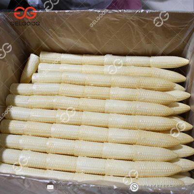 High Quality Ice Cream Cone Baking Machine Ice Cream Cone Production Line