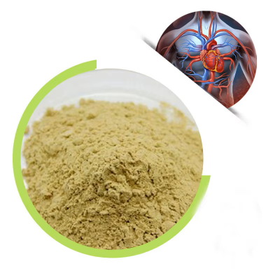 Quercetine plant extract quercetin powder