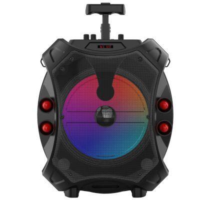 Portable Active Partybox Big Bass Karaoke Speaker Led Light 30w BT Speaker With Wireless Microphone