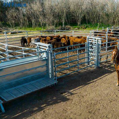 Panneaux de clôture pour bétail en acier galvanisé portable, clôture de sécurité pour vaches, clôture pour cour de chevaux, clôture pliante de 6 pieds, enrobée de poudre écologique, anti-rongeurs