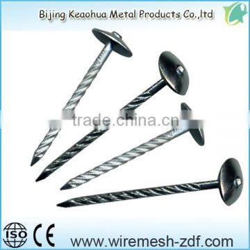 FACTORY PRICE coil roofing nail