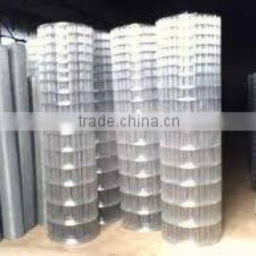 galvanized 6x6 reinforcing welded wire mesh