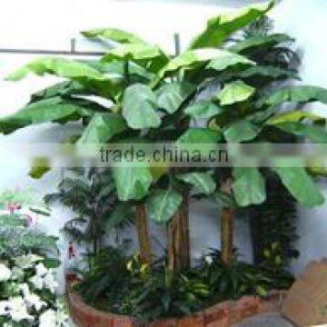 artificial banana trees