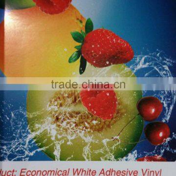 Economical White Adhesive Vinyl self adhesive vinyl