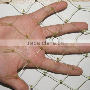 plastic anti-bird mesh/hebeituosheng