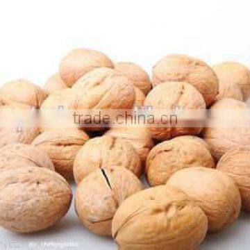 Stainless Steel Chestnut Roasting Machine