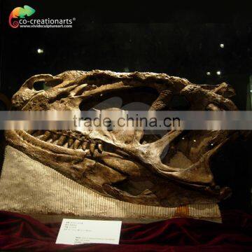 T-rex resin skull fossil
