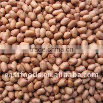 Chinese new crop peanut kernel