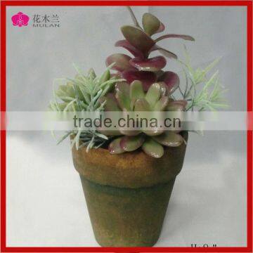 Shenzhen artificiail succulent for indoor decorative succulent