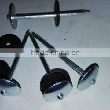 Galvanized Roofing NAILS ( 2 -1/2" x 9mm ) With Plastic Washer Boa Sorte Trade Ssurance Sinolink photo-3