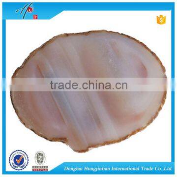 Wholesale Polished Agate slices for coffee table top