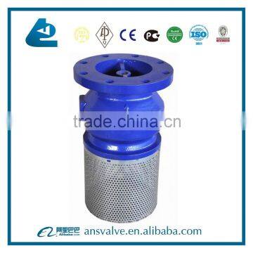 With Strainer Cast Iron Foot Valve