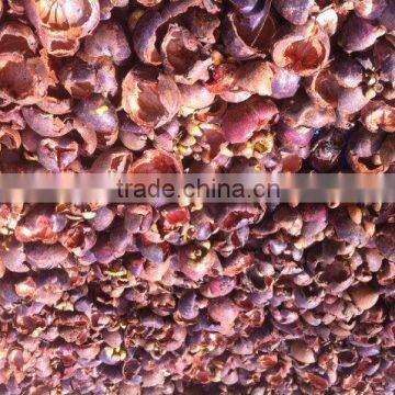 Vacuum freeze dried Mangosteen Rind 100%