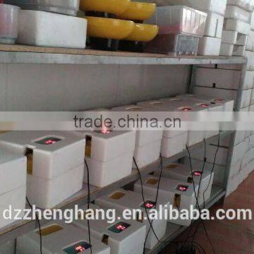 12 Mini Egg Incubator Fully Automatic Egg Incubator Great Quality Chicken Egg Incubator With CE Approved photo-6