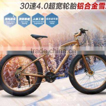 The Best Products New Product Fat Beach Cruiser Snow Bike