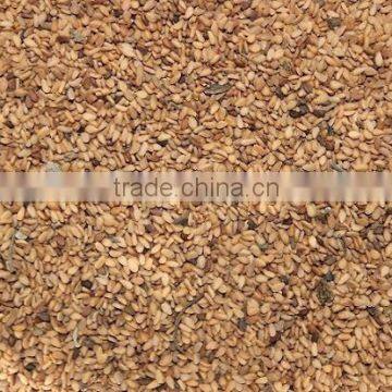 Yellow Sesame Seed