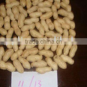 Blanched peanut kernels