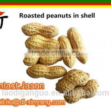 agricultural health snack food 2015 New Roasted Peanuts with Shell