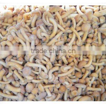 Cultivated Crops /100% Natural China Health Food Mushroom photo-4
