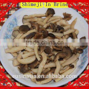 healthy food brined mushroom brined shimeji